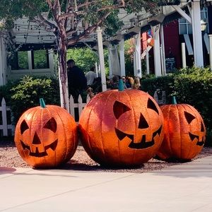 Meet your Posher, Brandi